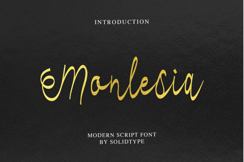 Monlesia Script By Solidtype Thehungryjpeg Com