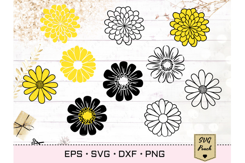 Download Daisy Flowers SVG By SVGPouch | TheHungryJPEG.com