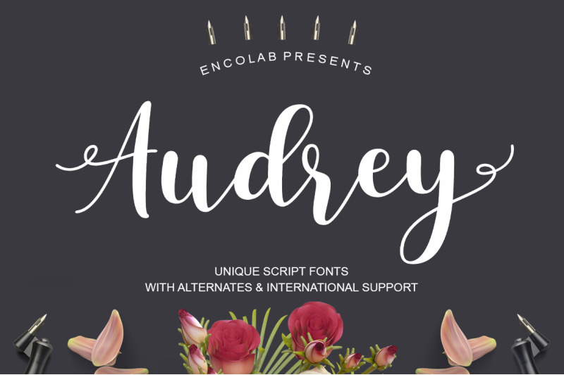Audrey By Encolab Thehungryjpeg Com