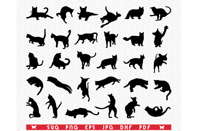 SVG Cats, Black Silhouettes, Digital clipart By DesignStudioRM ...