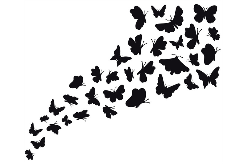 Flying Butterfly