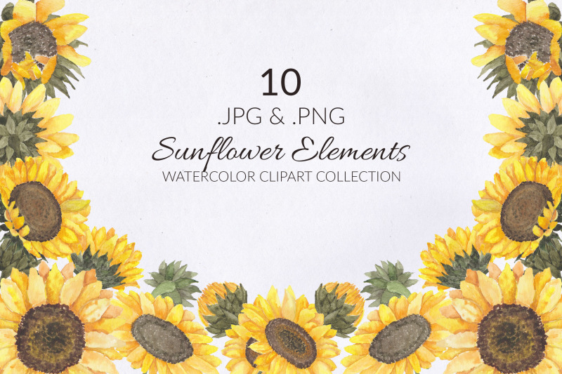 10 Sunflower Watercolor Illustration Set By elsabenaa | TheHungryJPEG