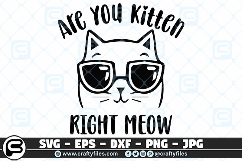 Are you ketten me right now SVG, Cute cat with sunglasses SVG By Crafty ...