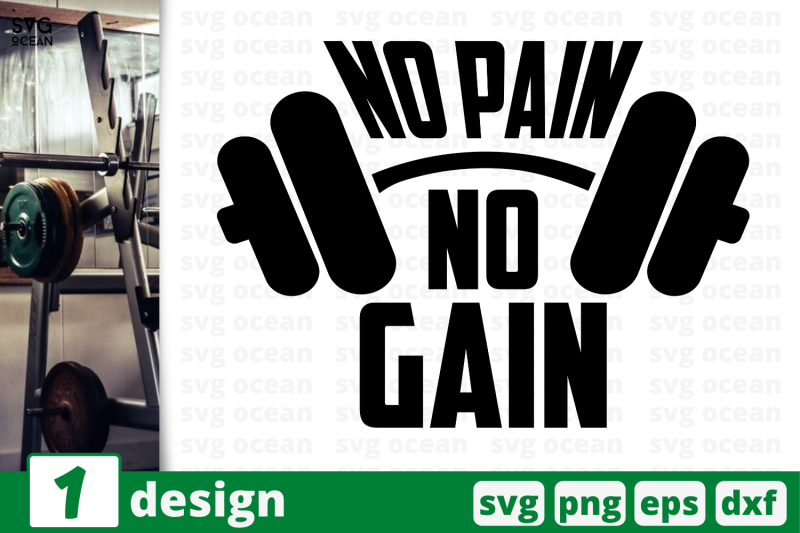 1 NO PAIN NO GAIN, sport quotes cricut svg By SvgOcean | TheHungryJPEG