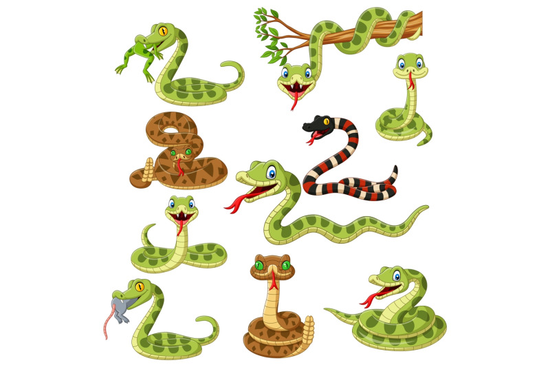 Cartoon Snakes Vector Set By tigatelu | TheHungryJPEG