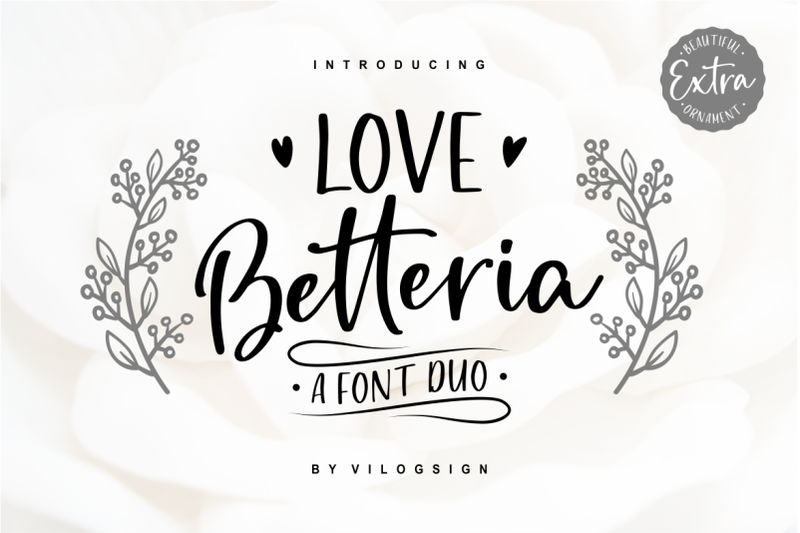 Love Betteria A Lovely Font Duo By Vilogsign Thehungryjpeg Com