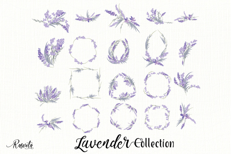 Lavender Plant Flowers Clipart By RaSveta | TheHungryJPEG