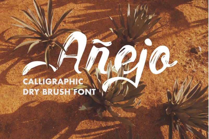 Anejo By Etewut | TheHungryJPEG