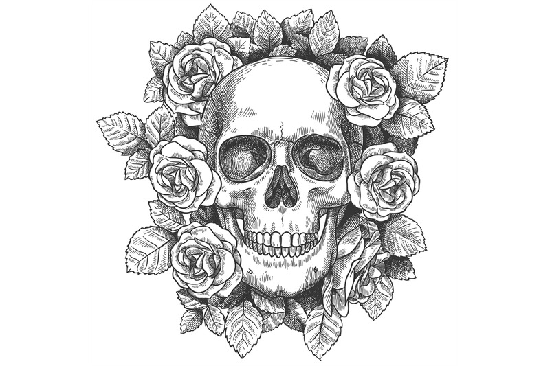 Skull with flowers. Sketch human skull with roses, traditional gothic ...