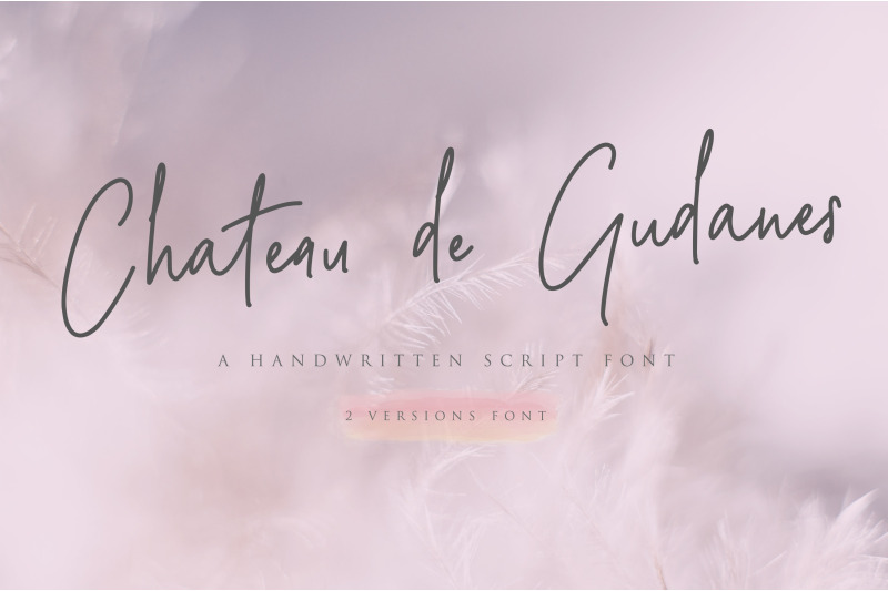 Font Duo Chateau De Gudanes Script By Prototype Studio Thehungryjpeg Com