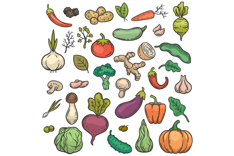 Vegetables. vector illustration © ddraw (#4483315)