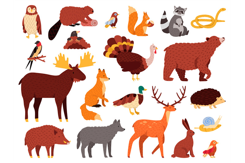 Cute animals. Cartoon forest animals, bear raccoon fox and cute owl, h By  WinWin_artlab | TheHungryJPEG