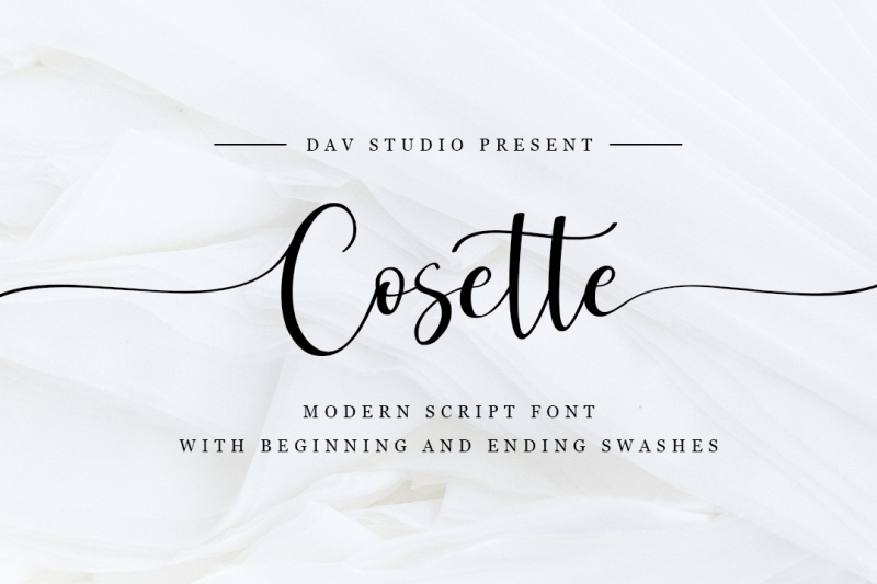 Cosette Modern Script Font By Dav Studio Thehungryjpeg Com