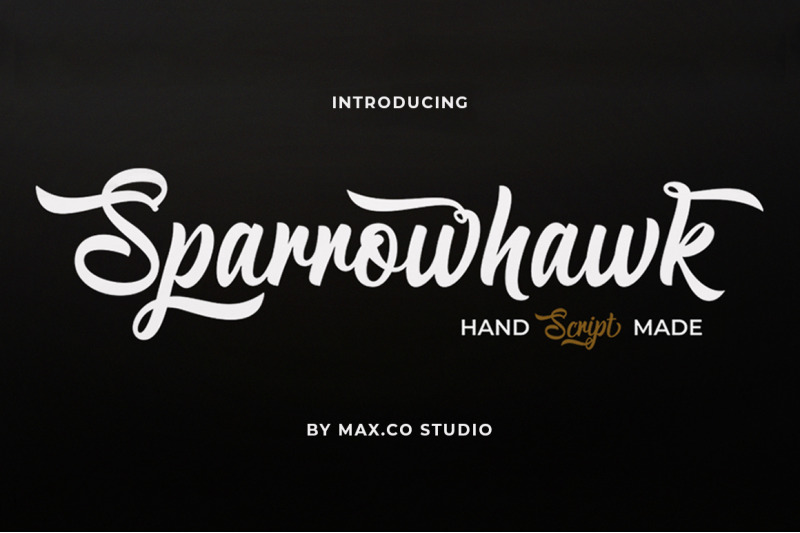 Sparrowhawk Script Font By Max Co Thehungryjpeg Com
