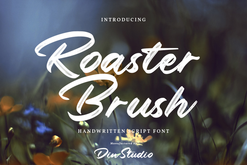 Roaster Brush Elegant Handwritten Font By Din Studio Thehungryjpeg Com