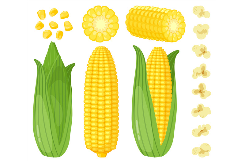 Corn on the cob Maize, corn, food, cartoon png | PNGEgg