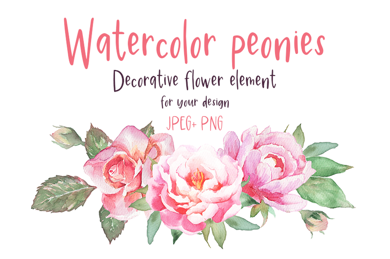 Watercolor peonies and roses decorative flower element By Mantiska ...