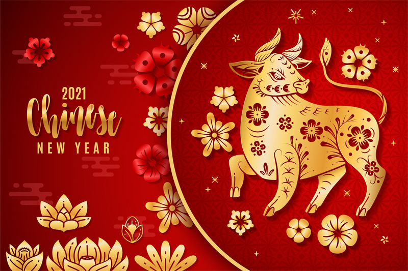 Chinese new year 2021. Traditional poster with red and gold ox, flower ...