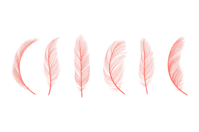 Trendy coral feathers. Vector pink fallen feathers isolated on white b By ONYX TheHungryJPEG