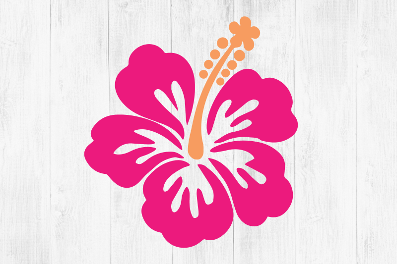 Hawaiian Flower SVG, Hibiscus SVG, Hawaii Flower, Flower, Tropical Flo ...