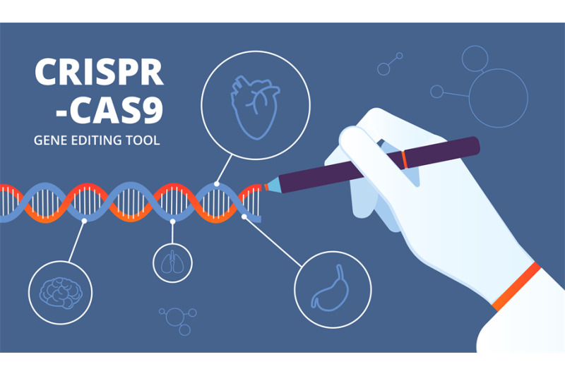 Crispr concept. Cas9 dna and gene engineering biotechnology. Human gen ...