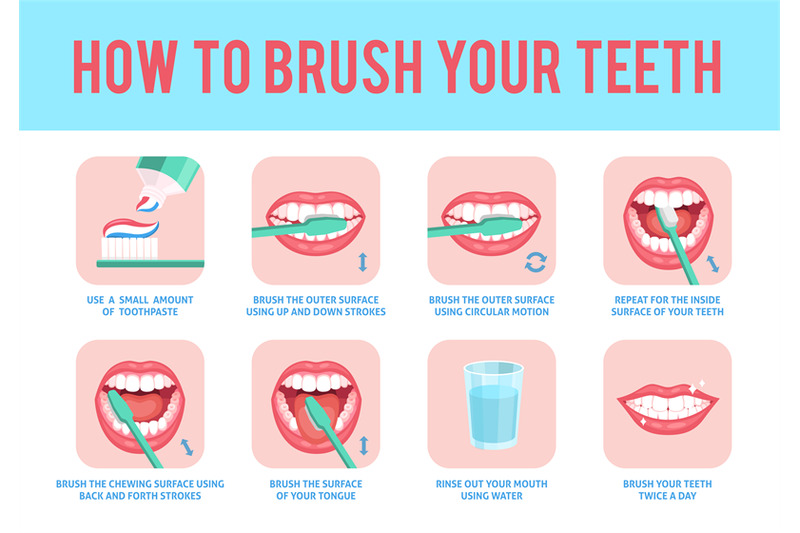 How to brush teeth. Correct tooth brushing education instruction, toot ...