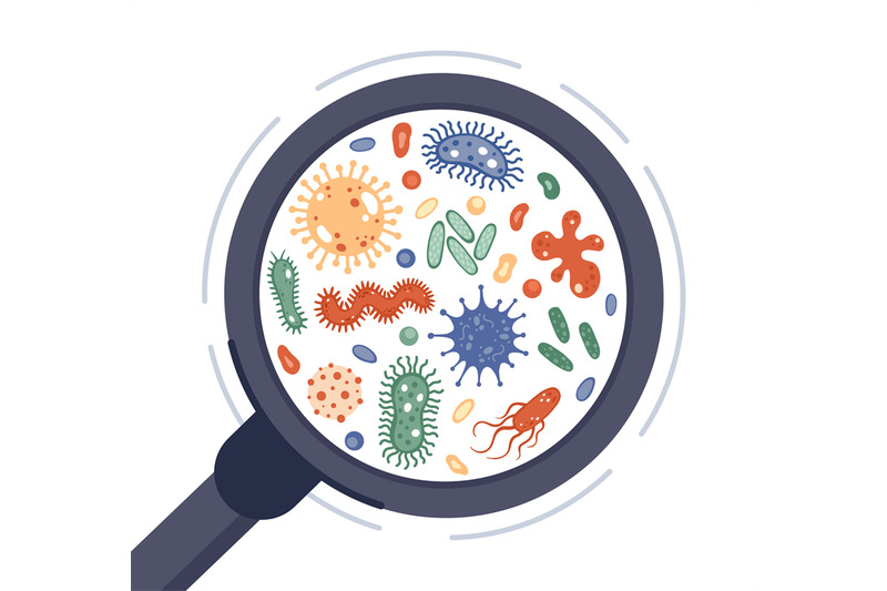 Bacteria in magnifying glass. Viruses, infection germ and disease bact ...