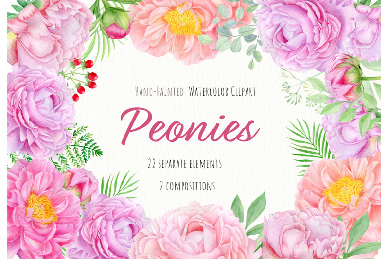 Pink peony watercolor clipart. Hand painted peonies flowers By Svetlana ...