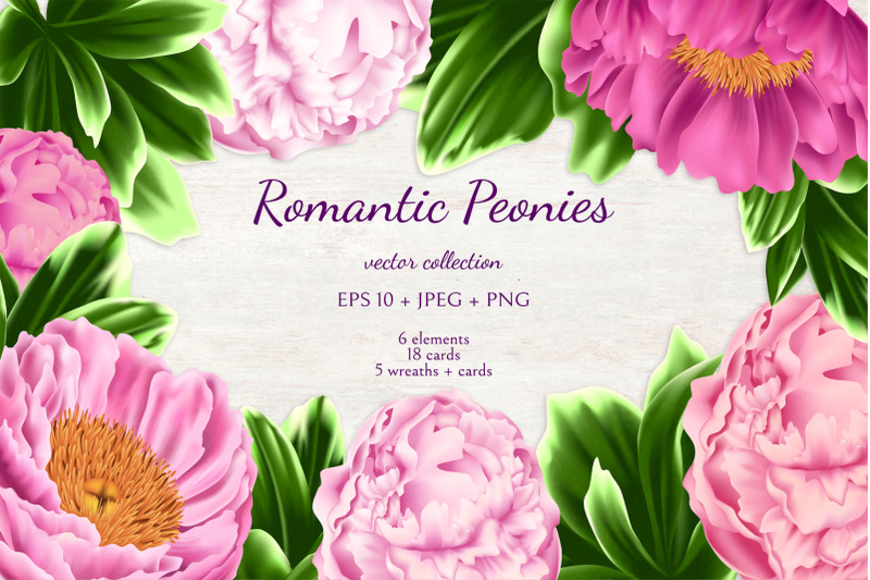 Romantic Peonies By Salted Galaxy | TheHungryJPEG