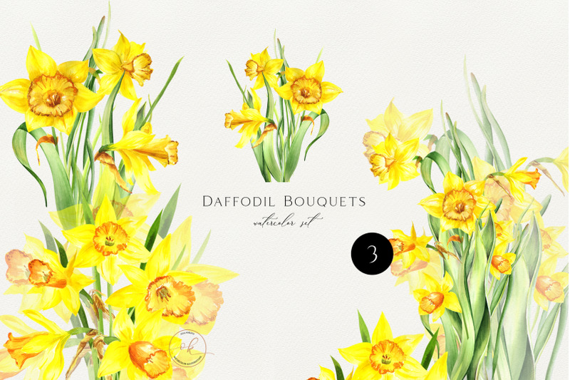 Watercolor Yellow Daffodil flowers clipart. Easter Clipart. Spring By ...