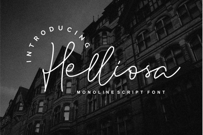 Helliosa Script By 24design studios | TheHungryJPEG