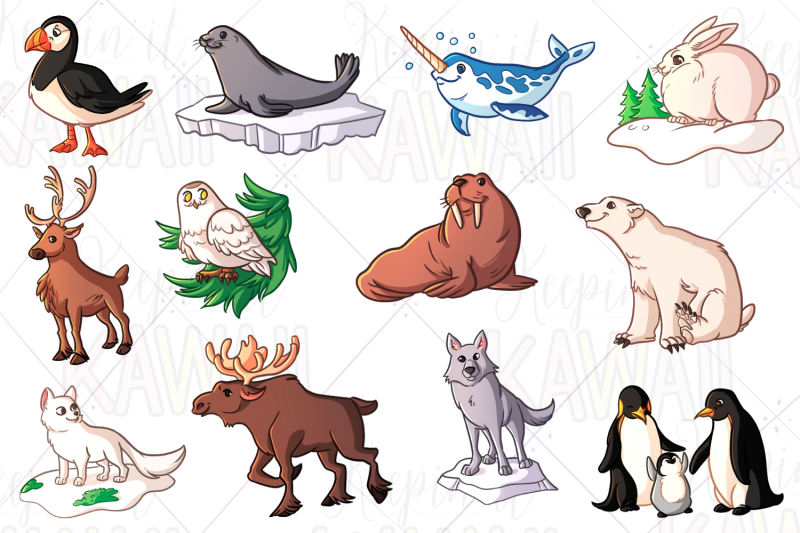 Arctic Animals Clip Art By Keepin' It Kawaii | TheHungryJPEG