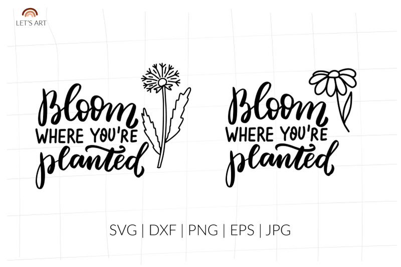 Bloom where you are planted svg, daisy svg, chamomile svg, dandelion By ...