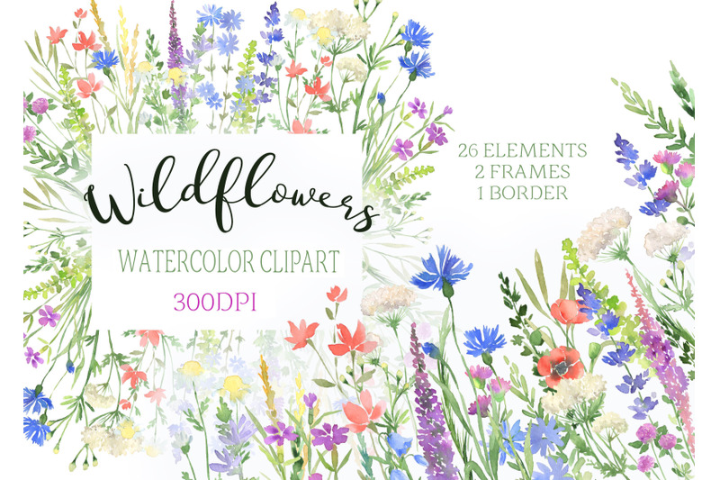 Watercolor Wildflowers clipart botanical floral files flowers clip art ...