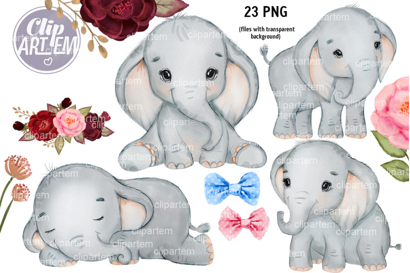 23 Watercolor Clip Art Unisex Elephant PNG Bundle By clipArtem ...