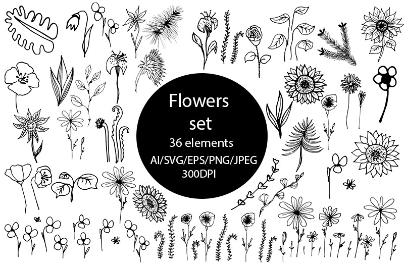 Download Flowers Set Svg Floral Botanical 36 Elements Leaves Flower By Burmaartstudio Thehungryjpeg Com