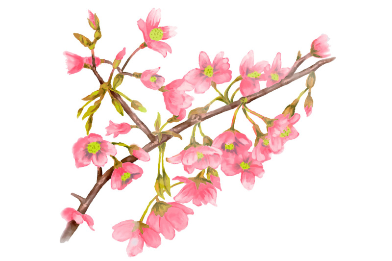 Watercolor Spring Tree Branch By Mete Humay 