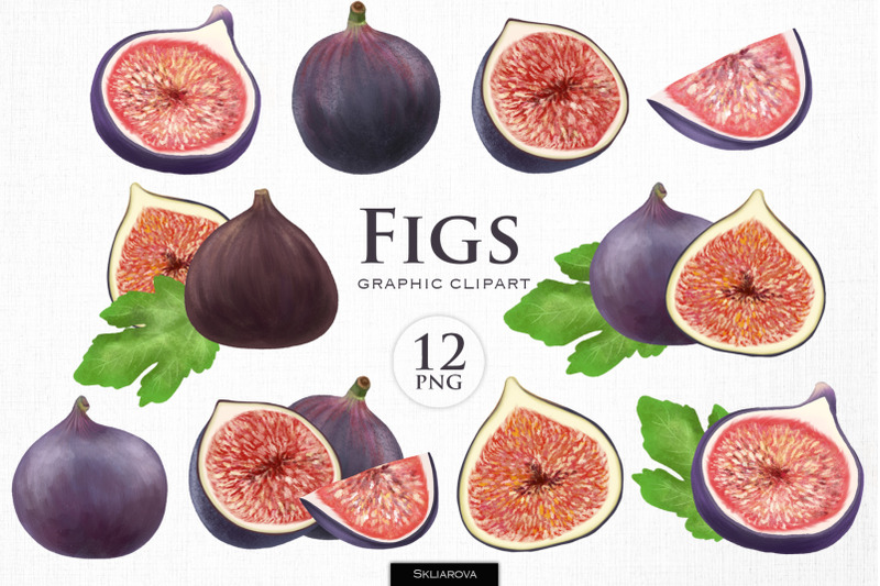 Figs. Graphic clipart. By