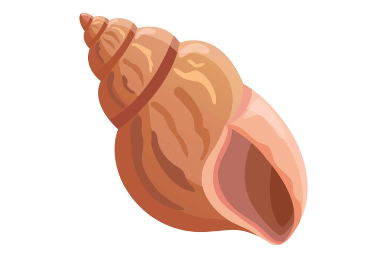 Beautiful shell icon, cartoon style By Anatolir56 | TheHungryJPEG