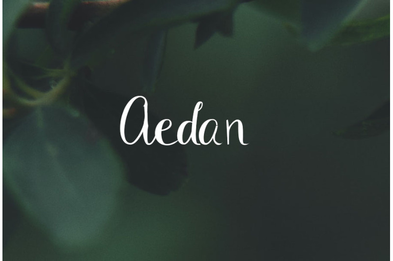 Aedan By tarikdiz | TheHungryJPEG