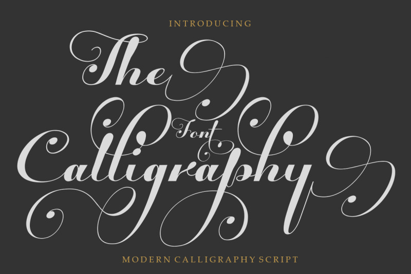 The Calligraphy Font By Shape Studio | TheHungryJPEG