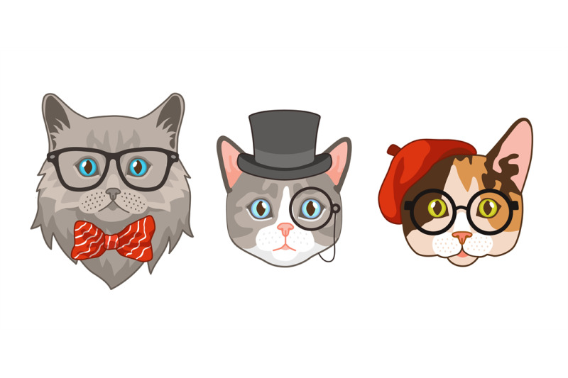 Cat heads with accessories. Cute funny cats different breeds avatar mu By  YummyBuum | TheHungryJPEG