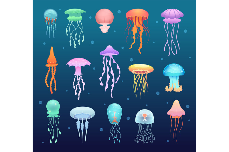 Underwater jellyfish. Beautiful magic water jelly swimming animals vec ...