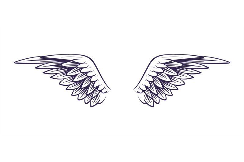 Angel Wings Drawing Vector Illustration. Winged Angelic Tattoo Icons. Wing  Feather With Halo, Artistic Artwork Sketch Royalty Free SVG, Cliparts,  Vectors, and Stock Illustration. Image 148611872.