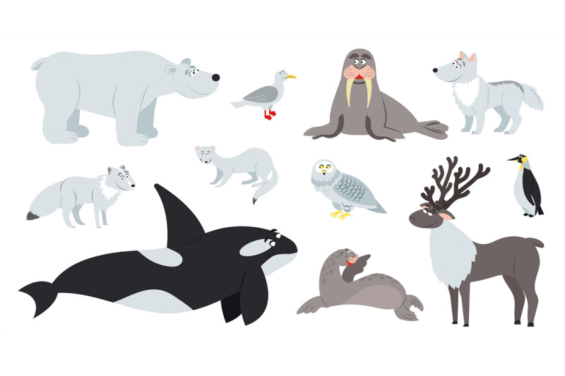 Arctic animals. Polar animal, cartoon cute bear walrus penguin. Flat f By  Microvector | TheHungryJPEG