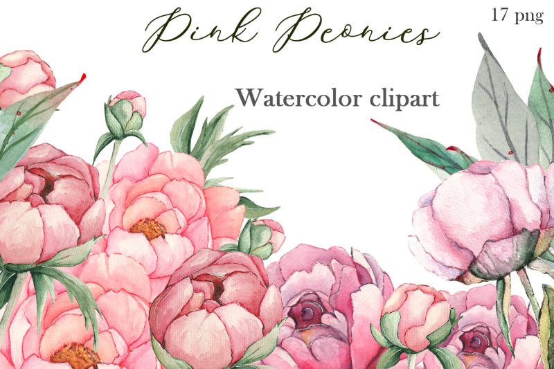 Watercolor Pink Peonies Flowers Clipart By Elenazlata_Art | TheHungryJPEG