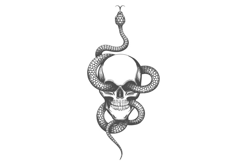 Skull and Snake Tattoo drawn in engraving style By Olena1983 ...