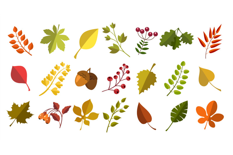 Fall acorns leaves berries By vectortatu | TheHungryJPEG