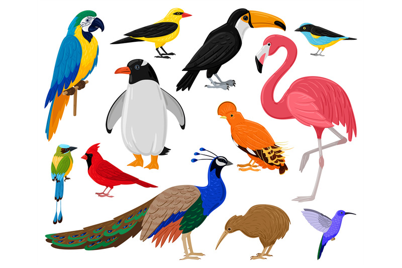 Cartoon tropical exotic birds, parrot, toucan, penguin and flamingo. E ...