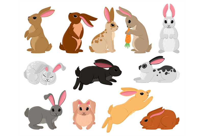 Cartoon cute rabbits, spring bunny brown and white characters. Bunny s ...